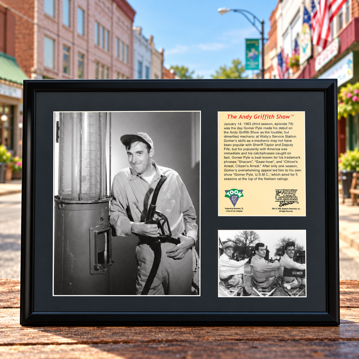 Gomer Pyle Framed Portrait Collectible on Main Street in Mount Airy